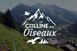 Chalet La Colline aux Oiseaux - rent chatel apartment, housing chatel, chatel rent apartment, rent chalet chatel private person